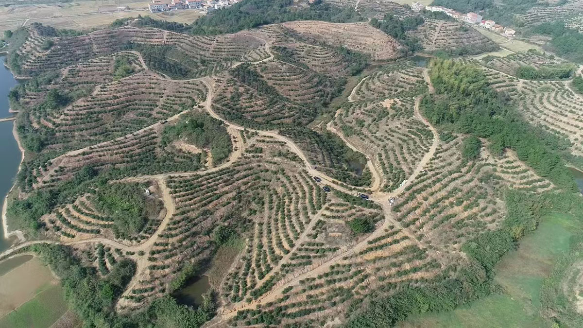 九豐農(nóng)業(yè)曹田基地